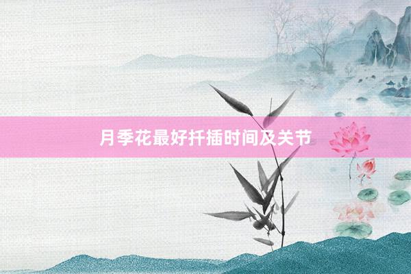月季花最好扦插时间及关节