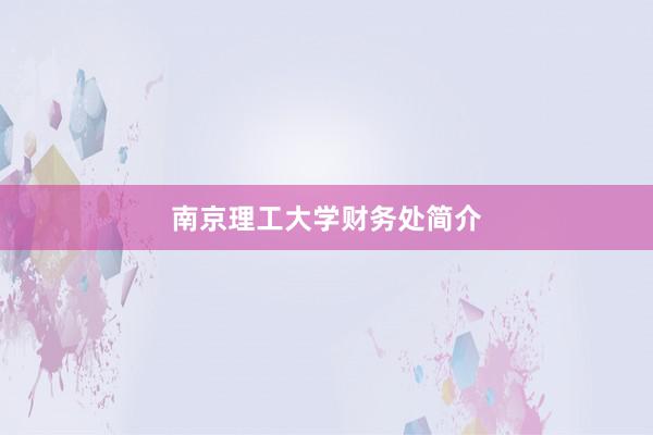 南京理工大学财务处简介